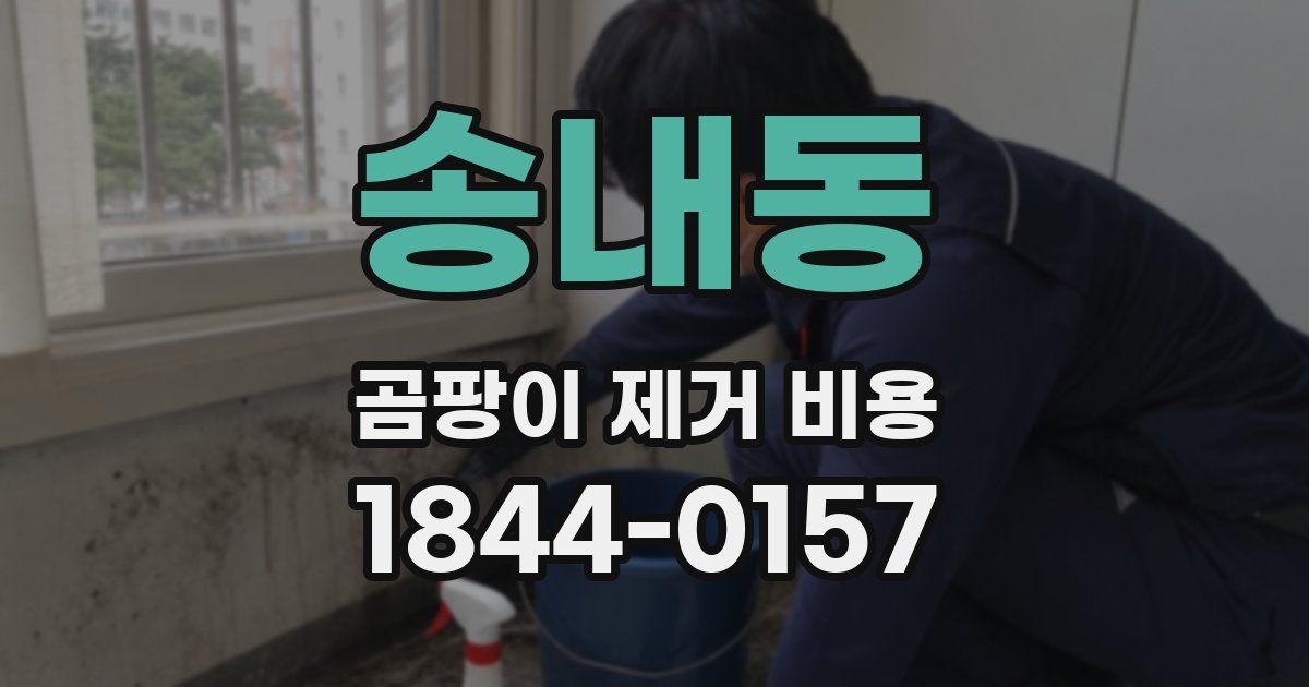 송내동 곰팡이 제거 비용