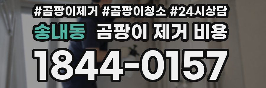 송내동 곰팡이 제거 비용
