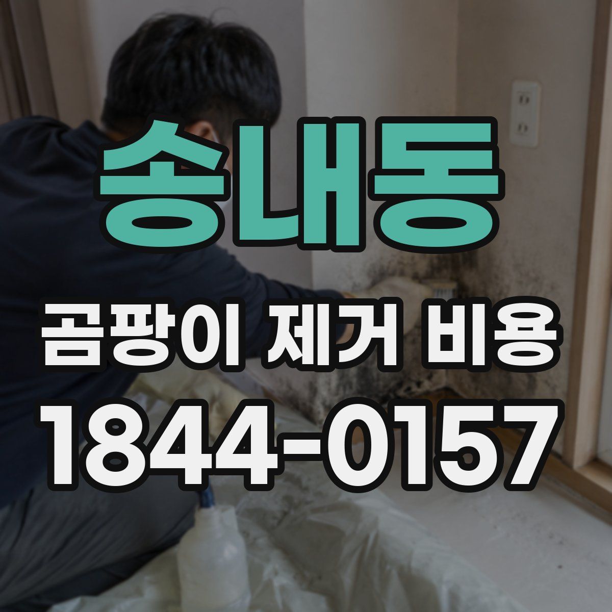 송내동 곰팡이 제거 비용