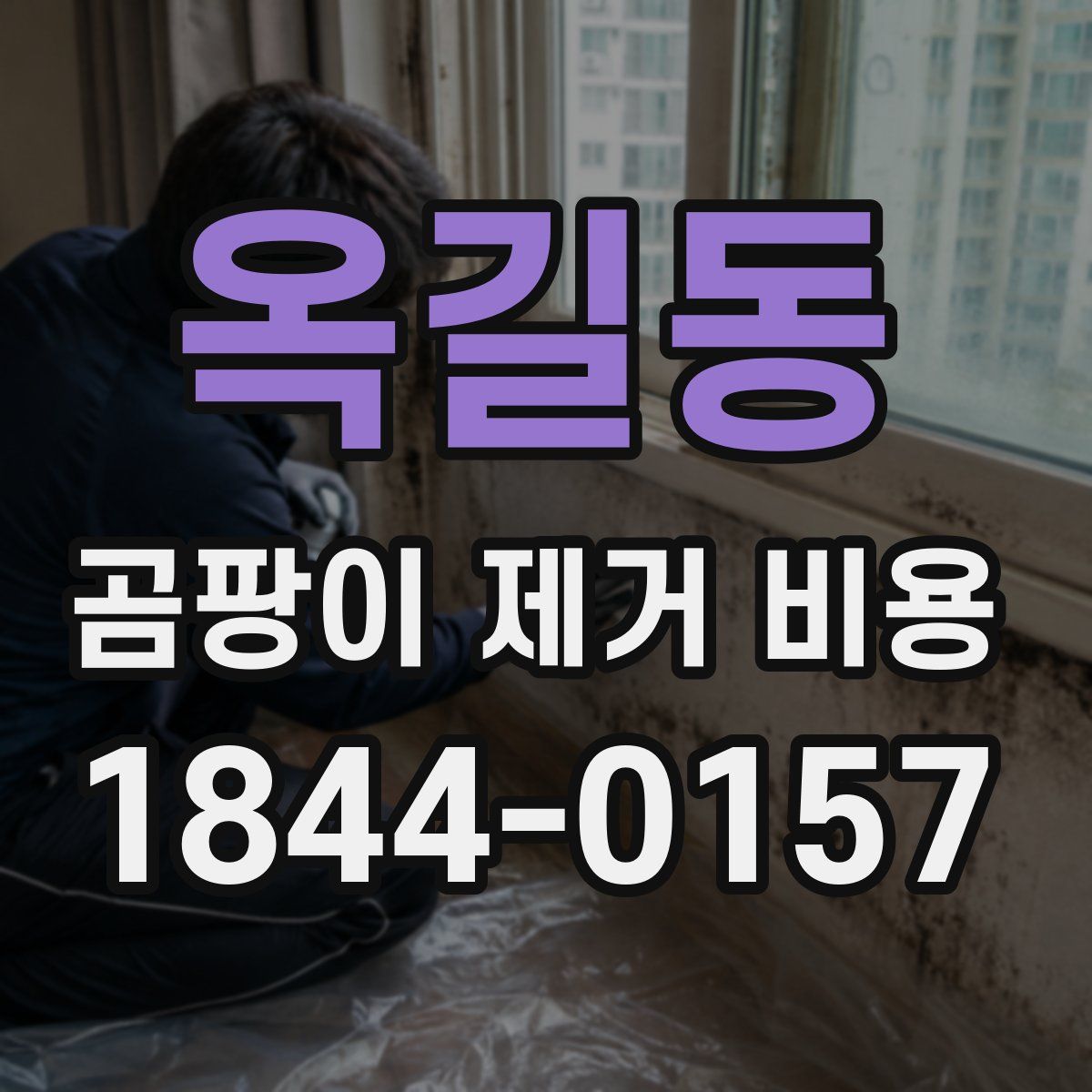 옥길동 곰팡이 제거 비용