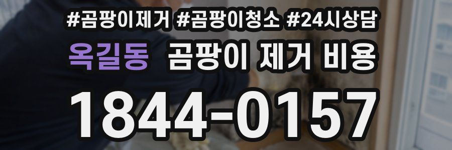 옥길동 곰팡이 제거 비용