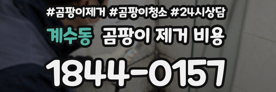 계수동 곰팡이 제거 비용