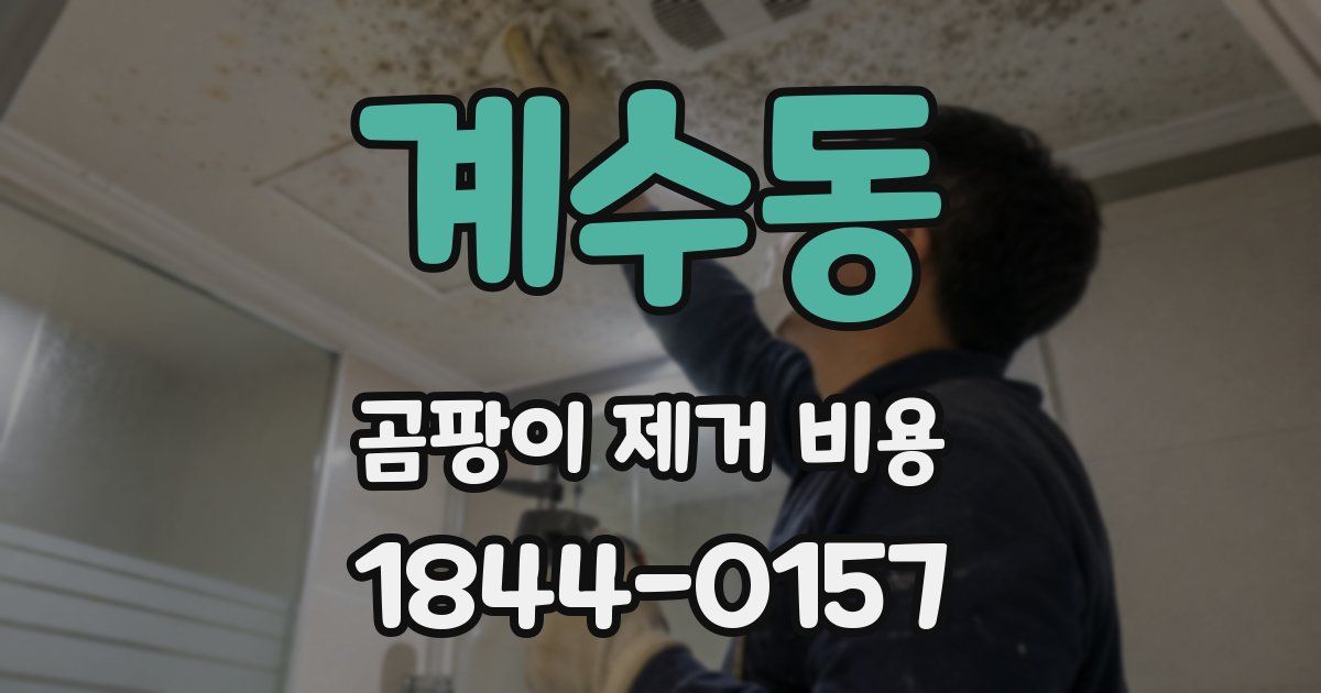 계수동 곰팡이 제거 비용