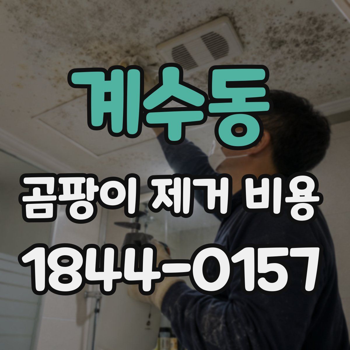 계수동 곰팡이 제거 비용