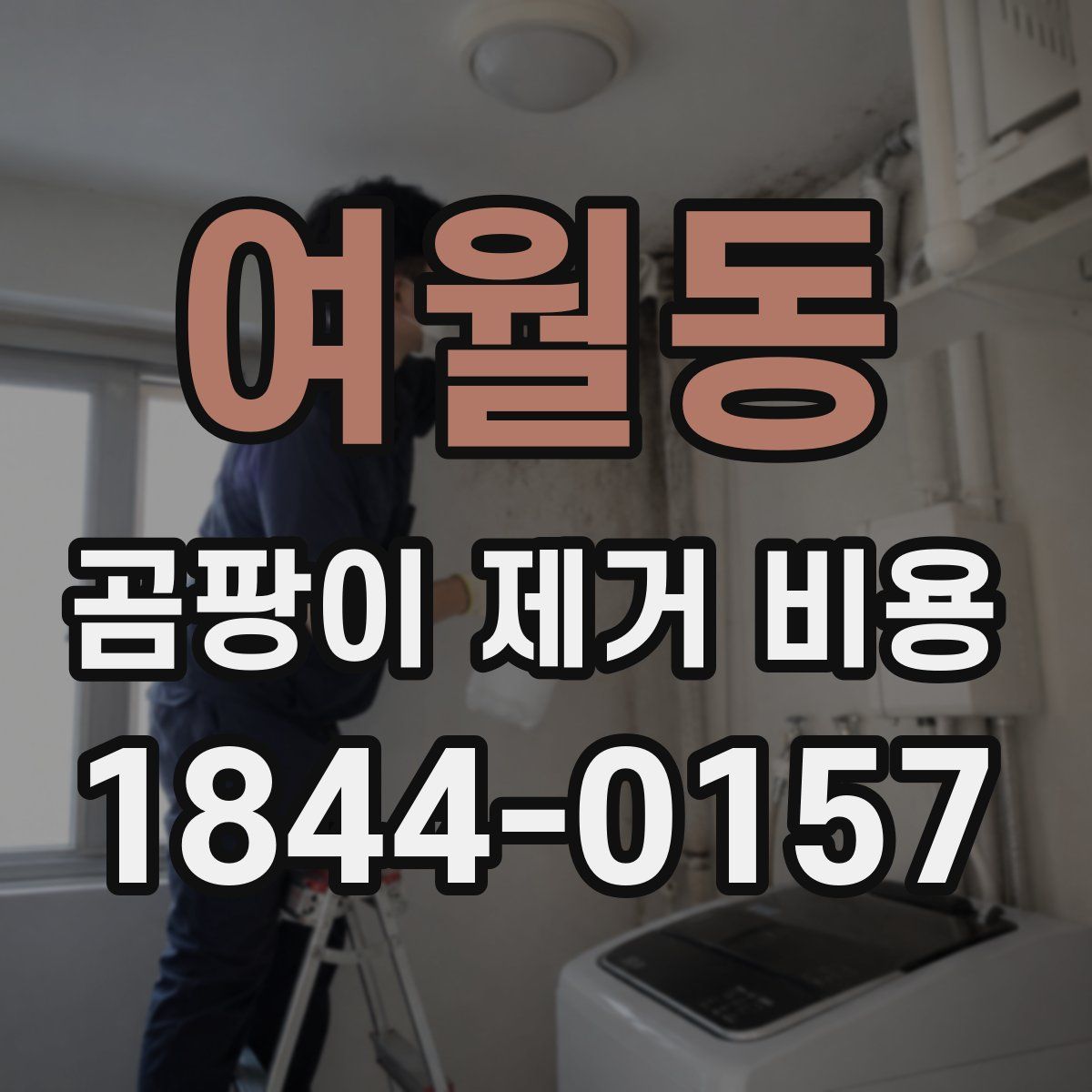 여월동 곰팡이 제거 비용