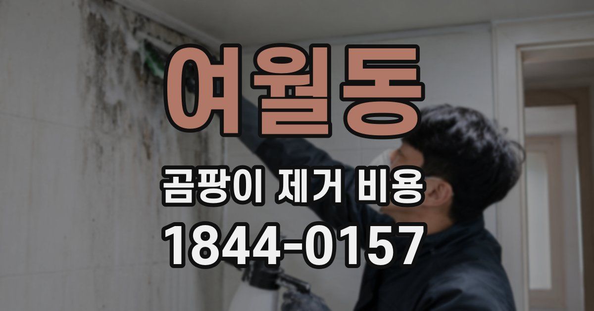 여월동 곰팡이 제거 비용