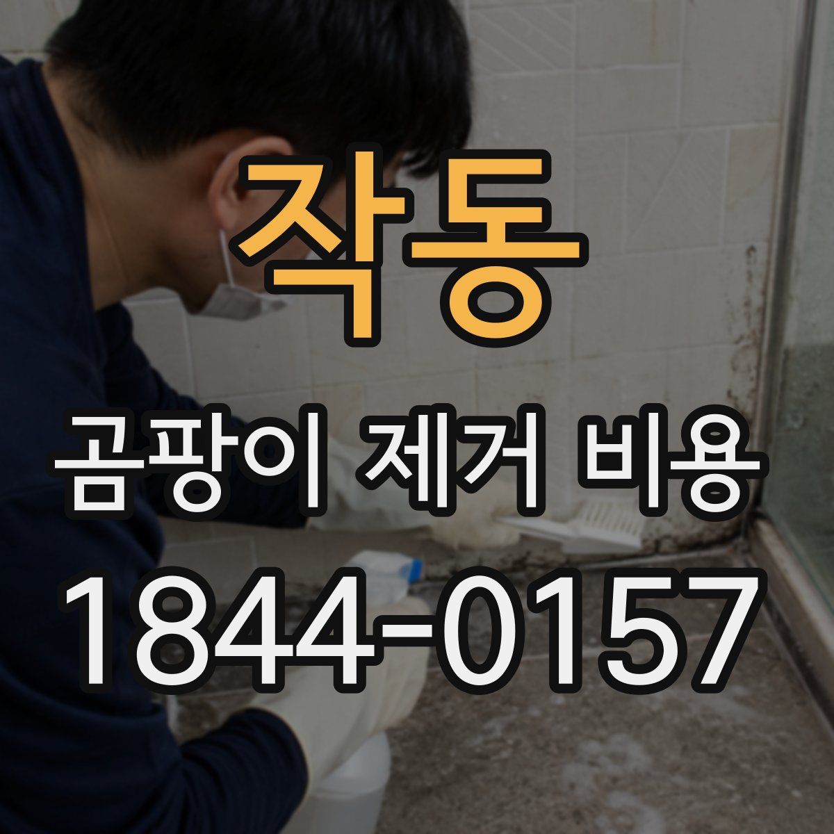 작동 곰팡이 제거 비용