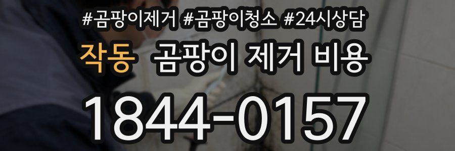 작동 곰팡이 제거 비용