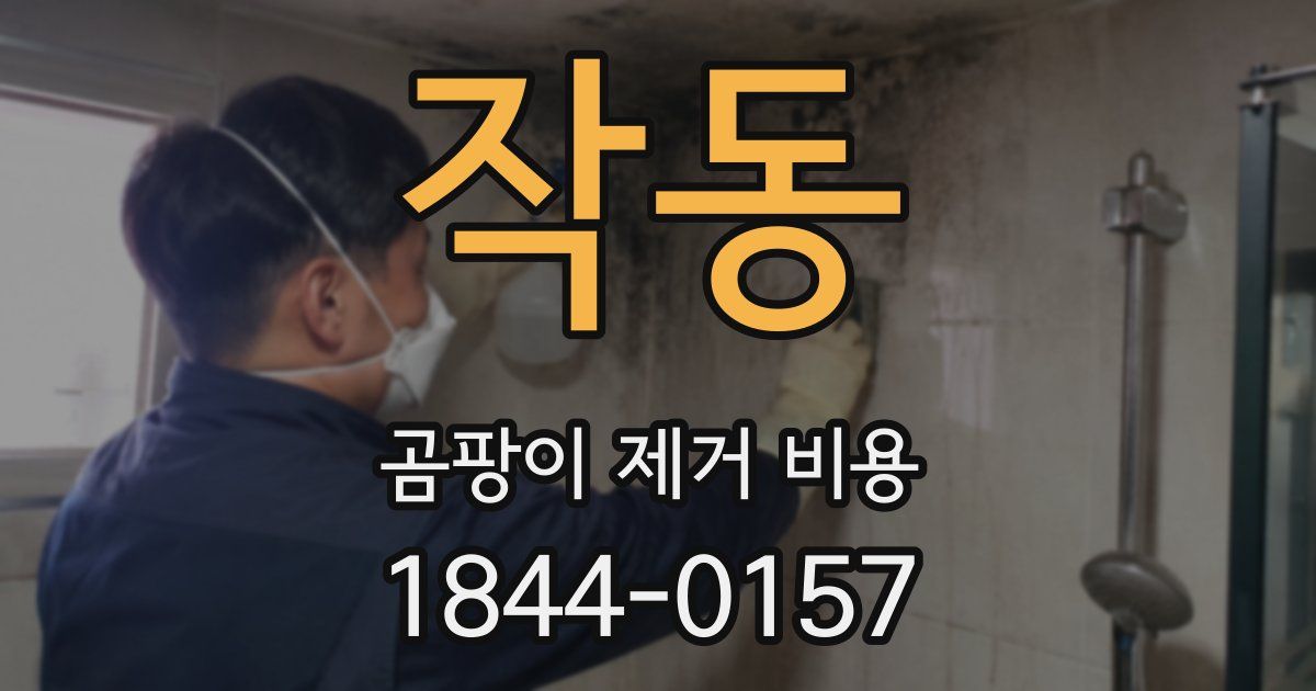 작동 곰팡이 제거 비용