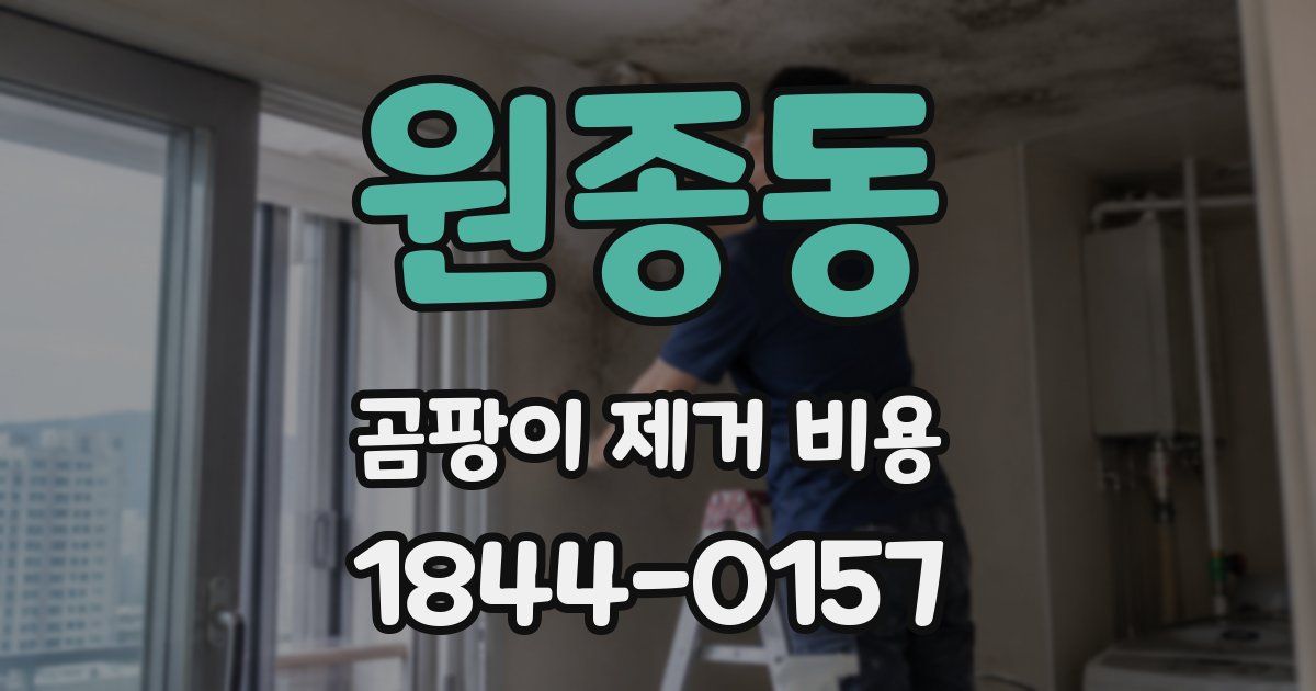 원종동 곰팡이 제거 비용