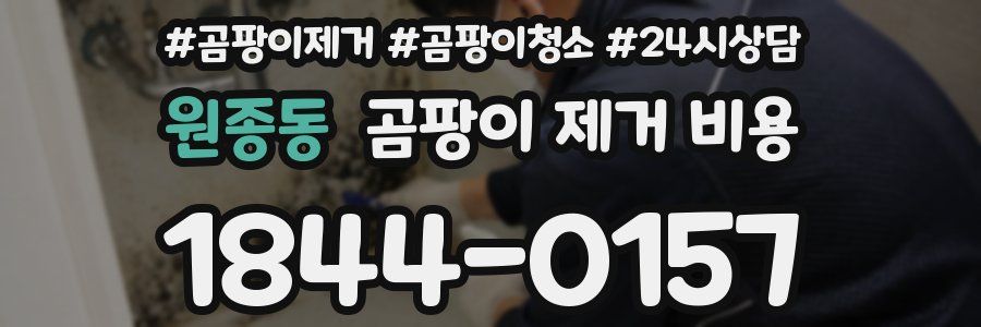 원종동 곰팡이 제거 비용