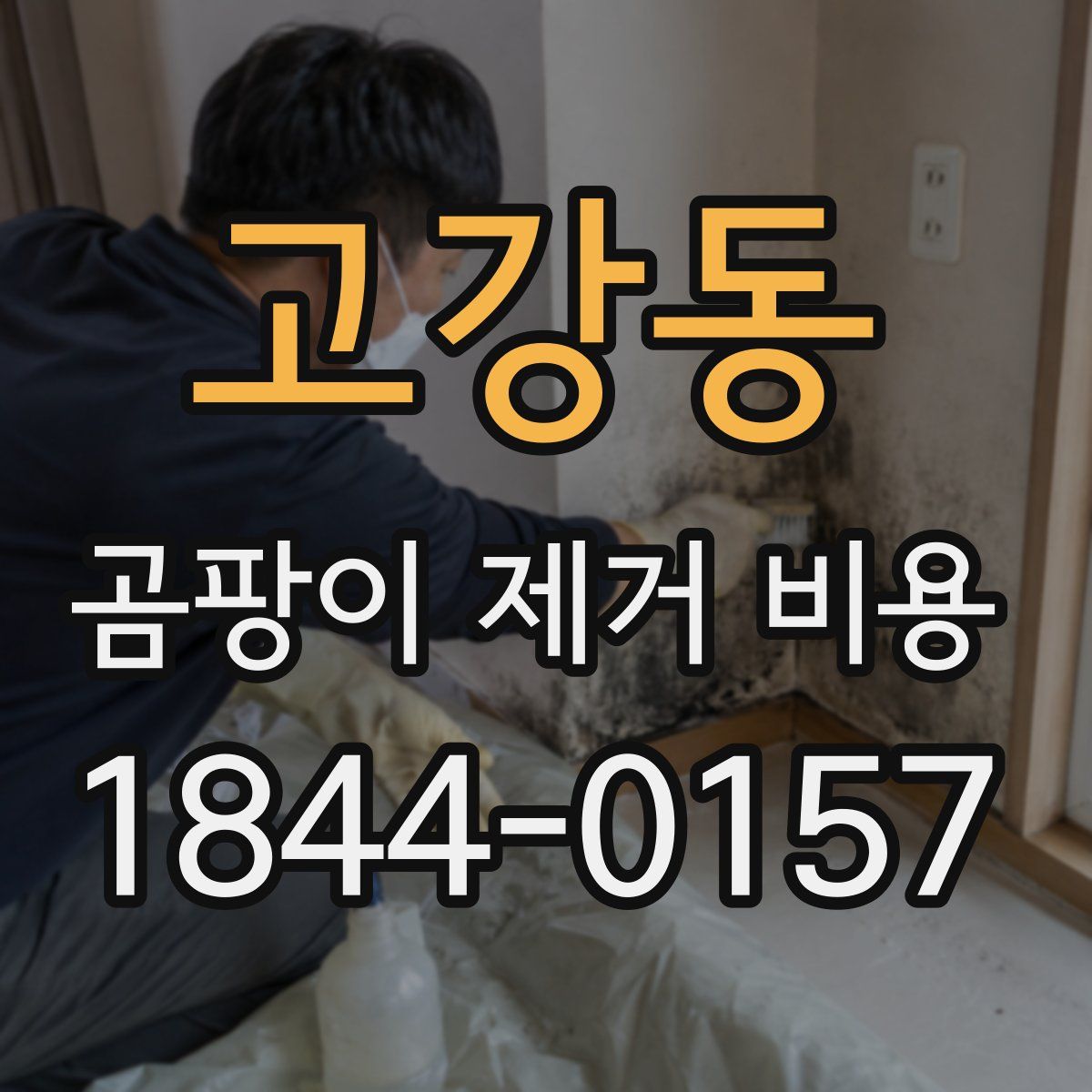고강동 곰팡이 제거 비용