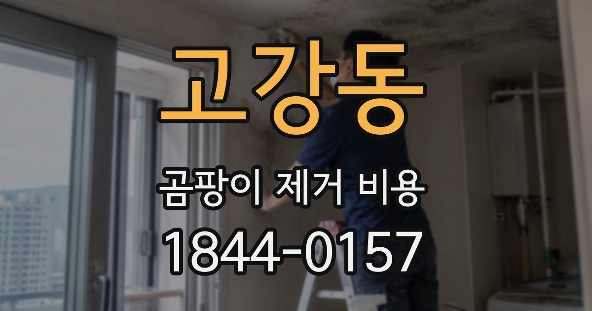 고강동 곰팡이 제거 비용