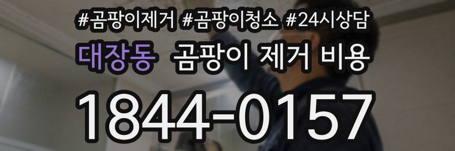 대장동 곰팡이 제거 비용
