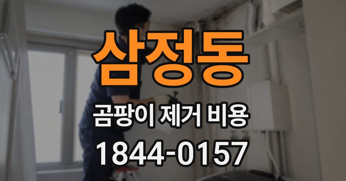 삼정동 곰팡이 제거 비용