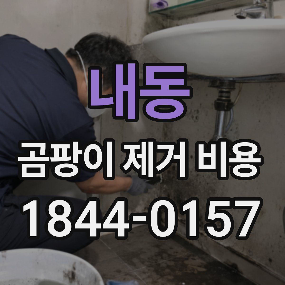 내동 곰팡이 제거 비용