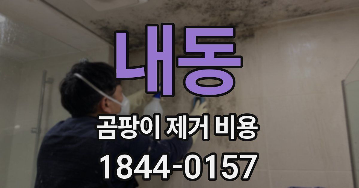 내동 곰팡이 제거 비용