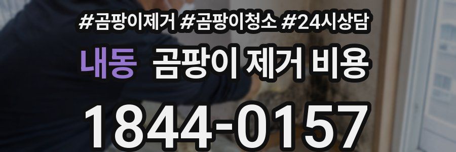 내동 곰팡이 제거 비용