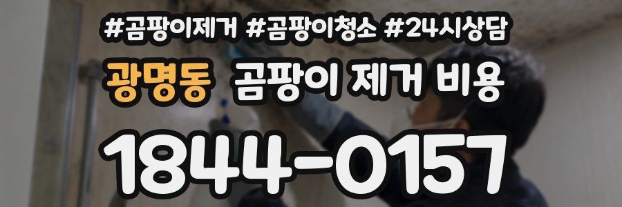 광명동 곰팡이 제거 비용