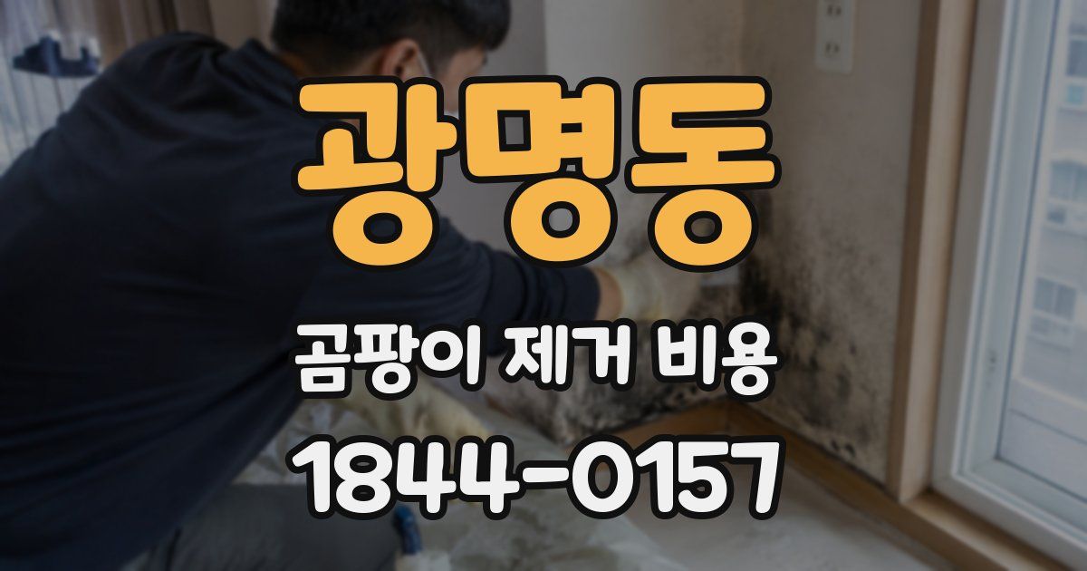 광명동 곰팡이 제거 비용