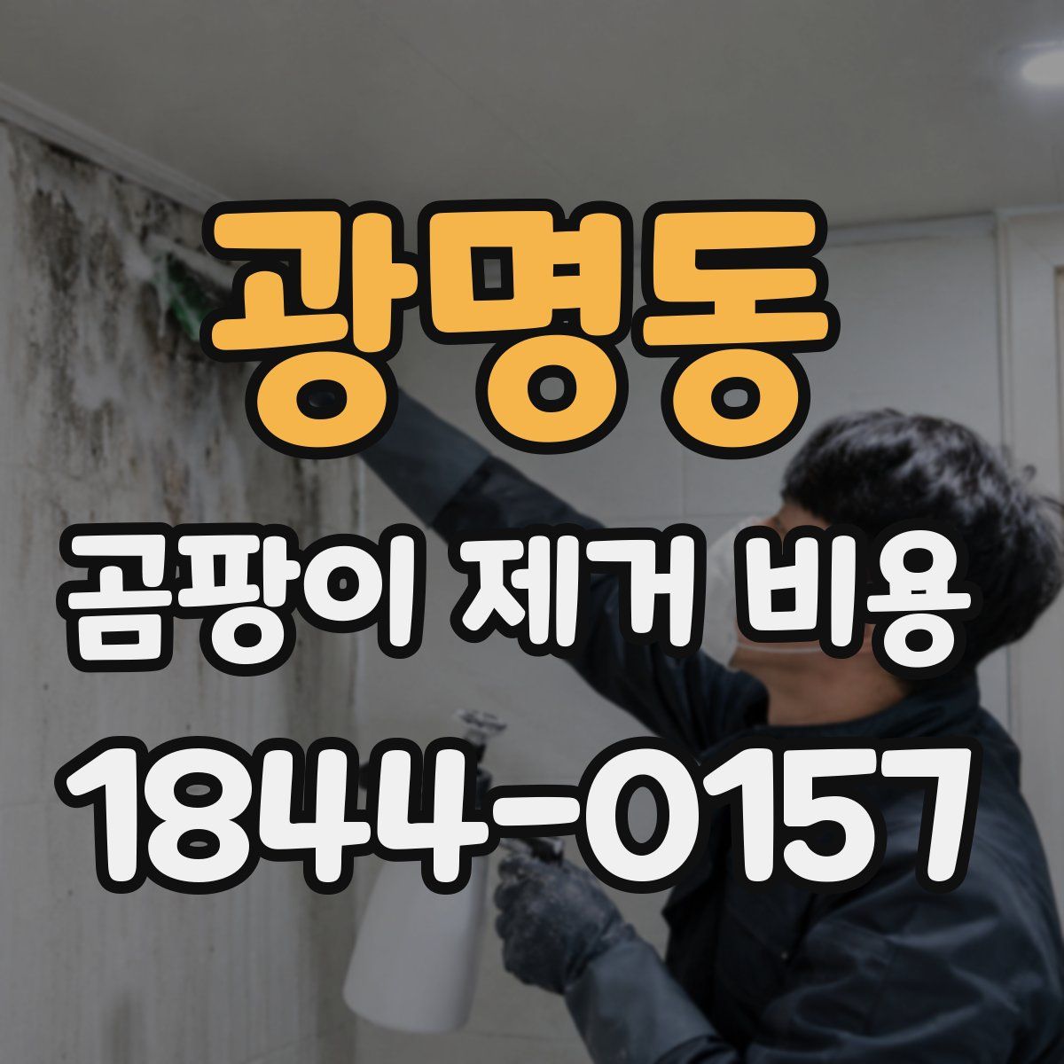 광명동 곰팡이 제거 비용
