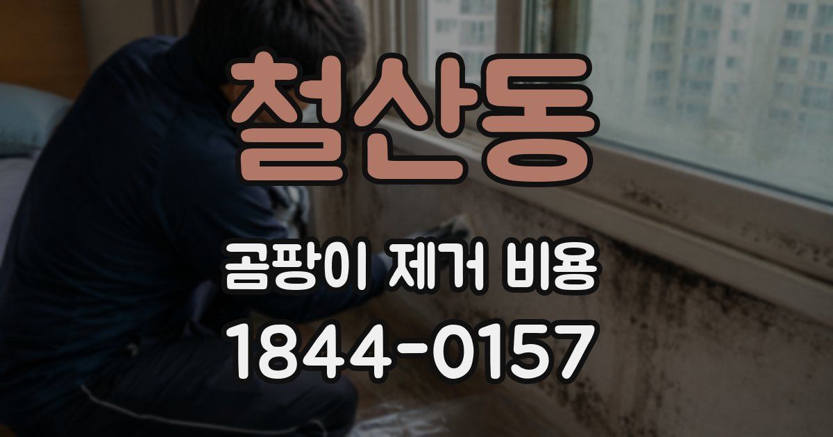 철산동 곰팡이 제거 비용