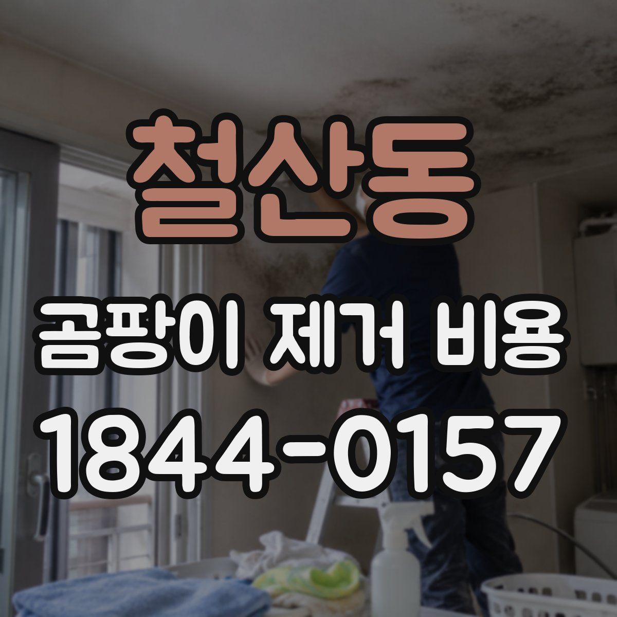 철산동 곰팡이 제거 비용