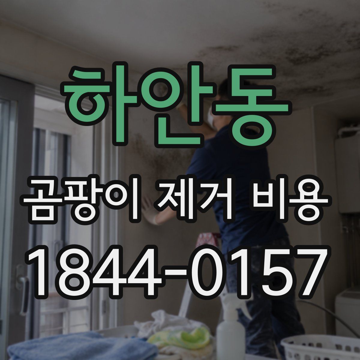 하안동 곰팡이 제거 비용