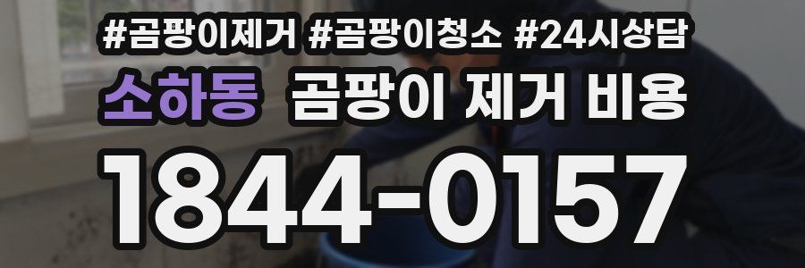 소하동 곰팡이 제거 비용