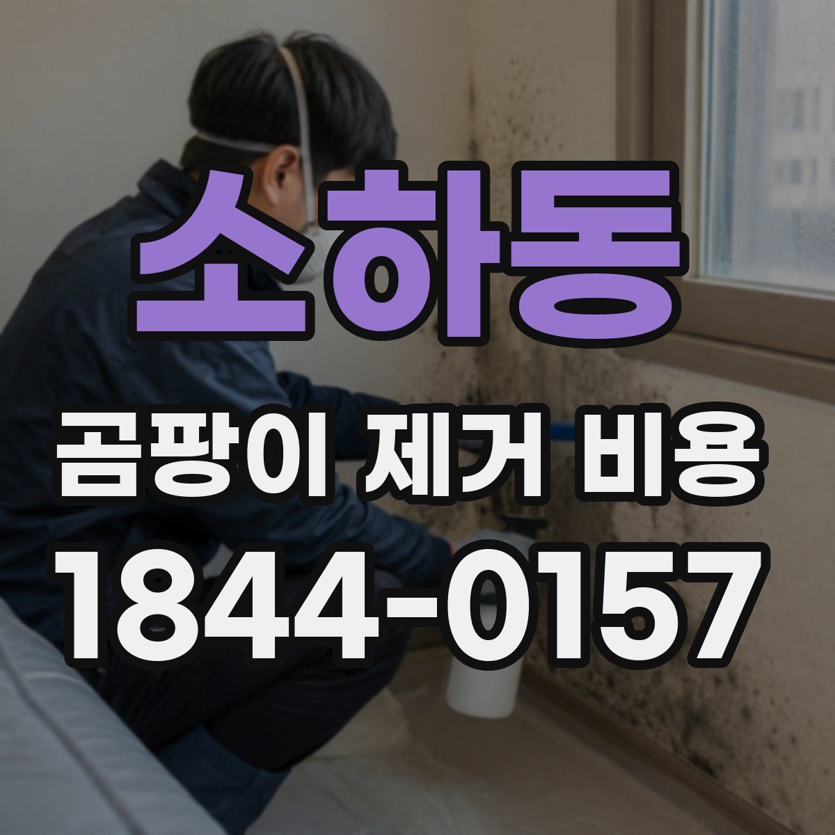 소하동 곰팡이 제거 비용