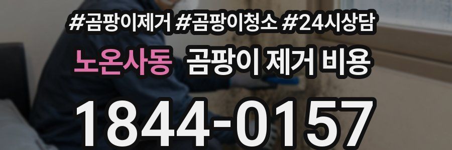 노온사동 곰팡이 제거 비용