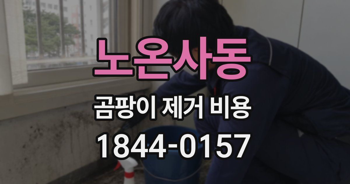 노온사동 곰팡이 제거 비용