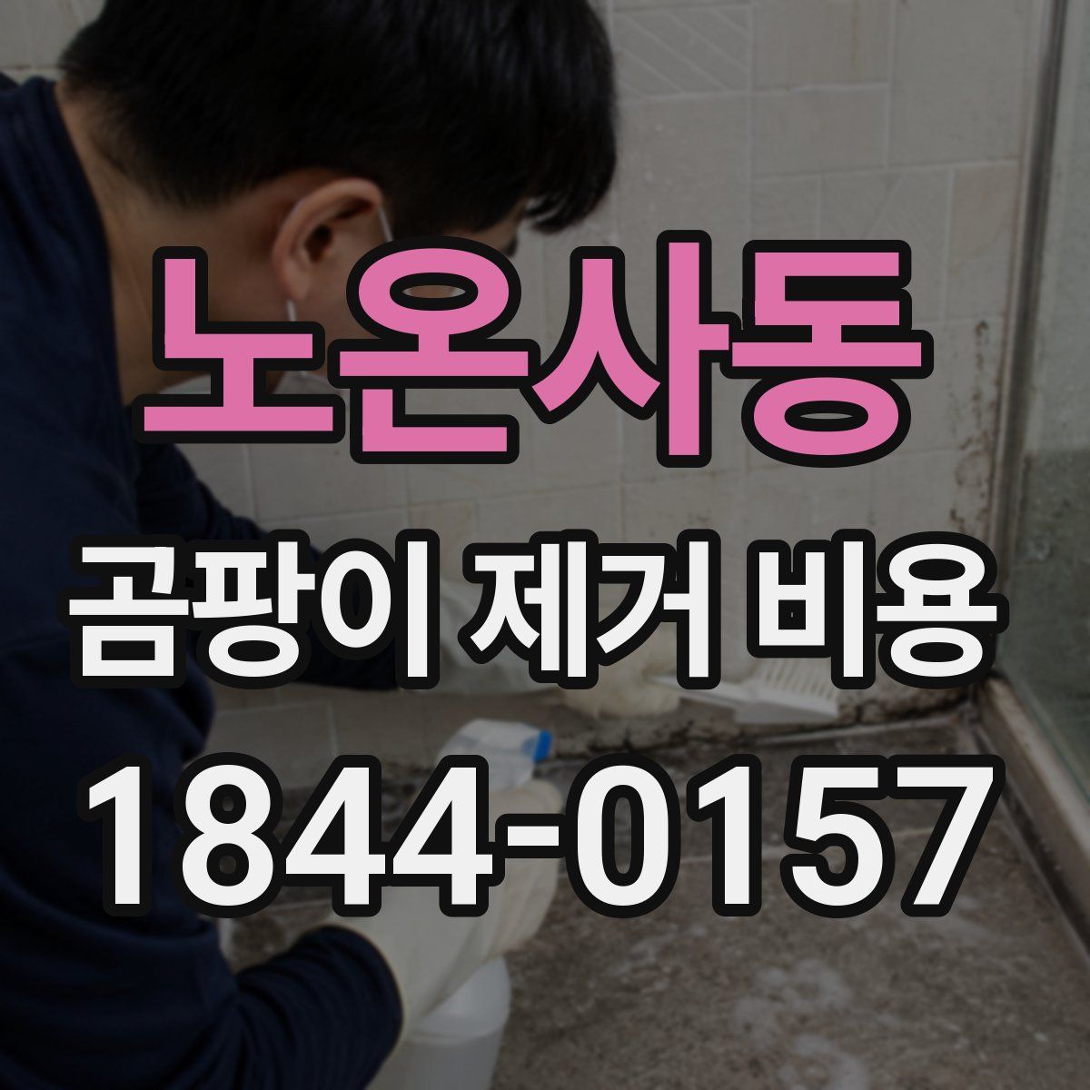 노온사동 곰팡이 제거 비용
