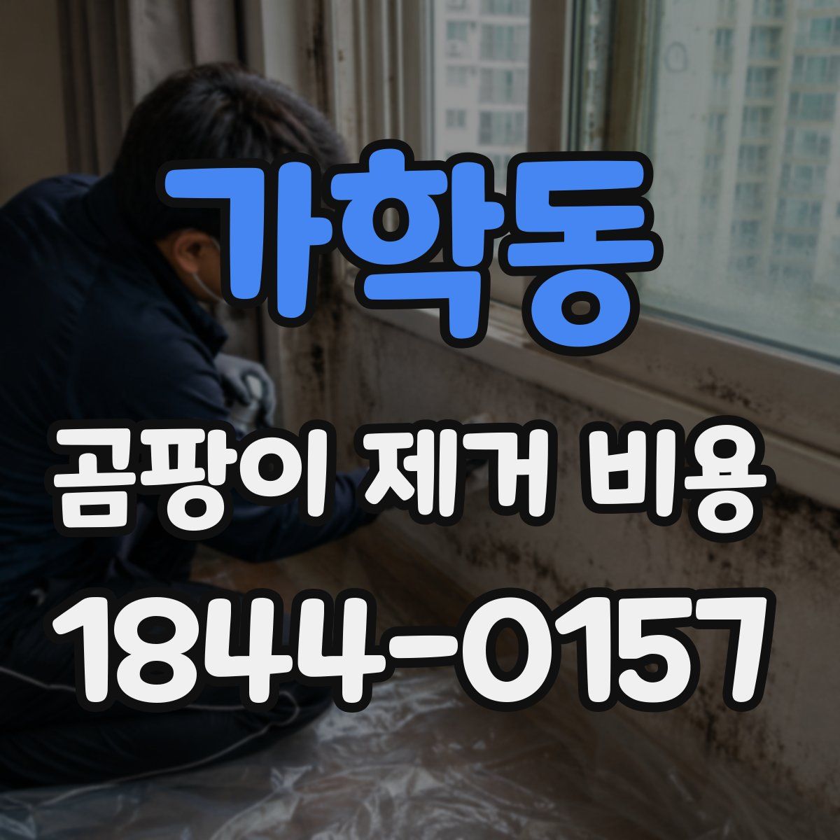 가학동 곰팡이 제거 비용