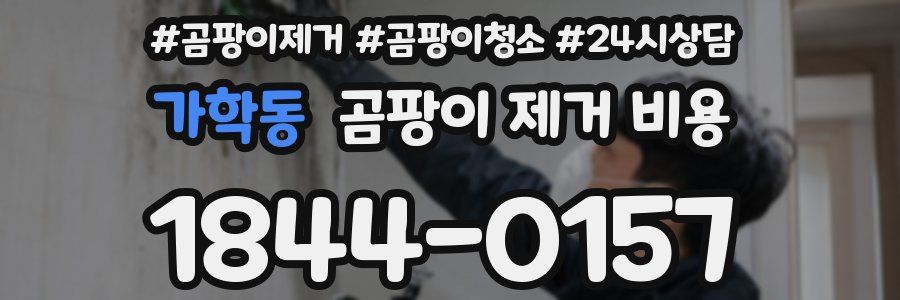 가학동 곰팡이 제거 비용