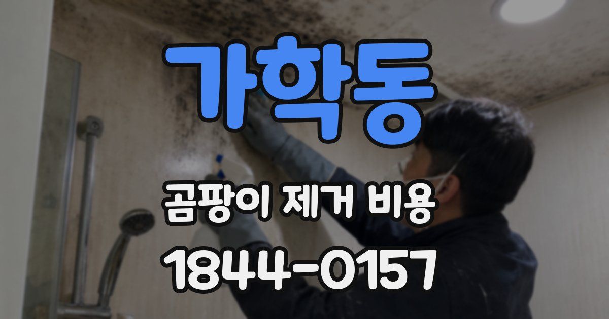 가학동 곰팡이 제거 비용