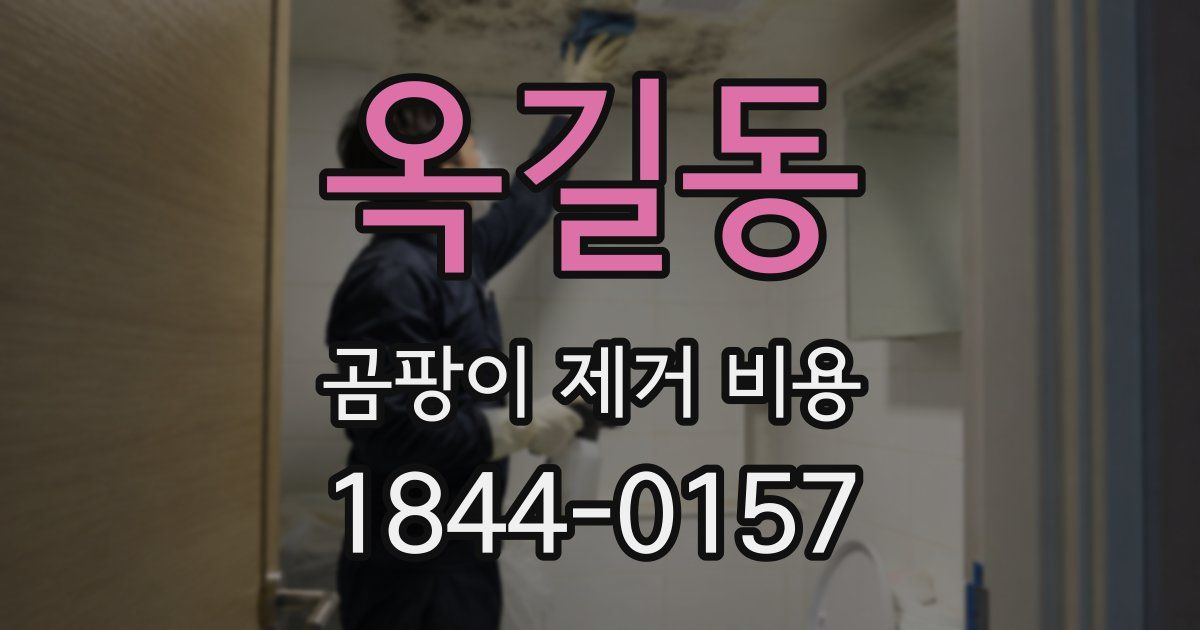 옥길동 곰팡이 제거 비용