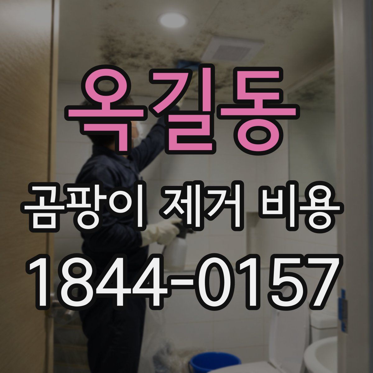 옥길동 곰팡이 제거 비용