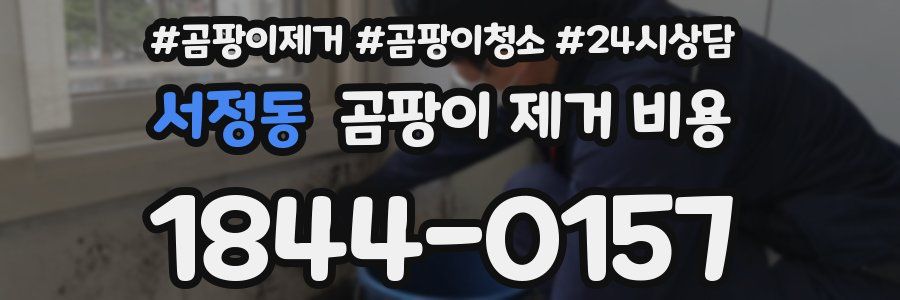 서정동 곰팡이 제거 비용