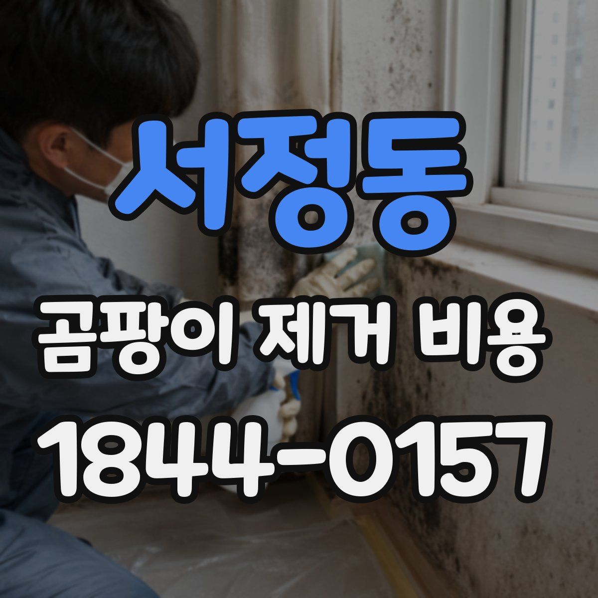 서정동 곰팡이 제거 비용