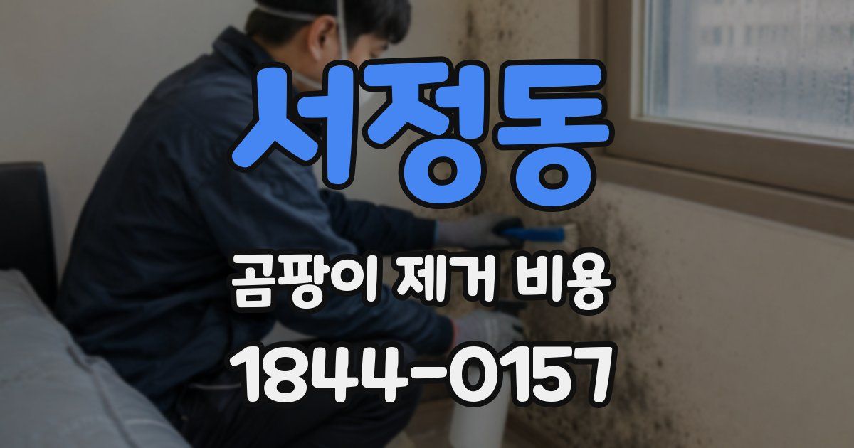 서정동 곰팡이 제거 비용