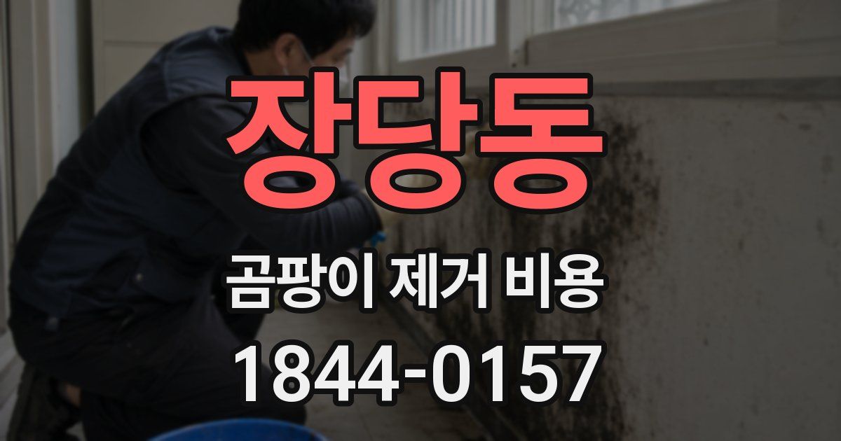 장당동 곰팡이 제거 비용