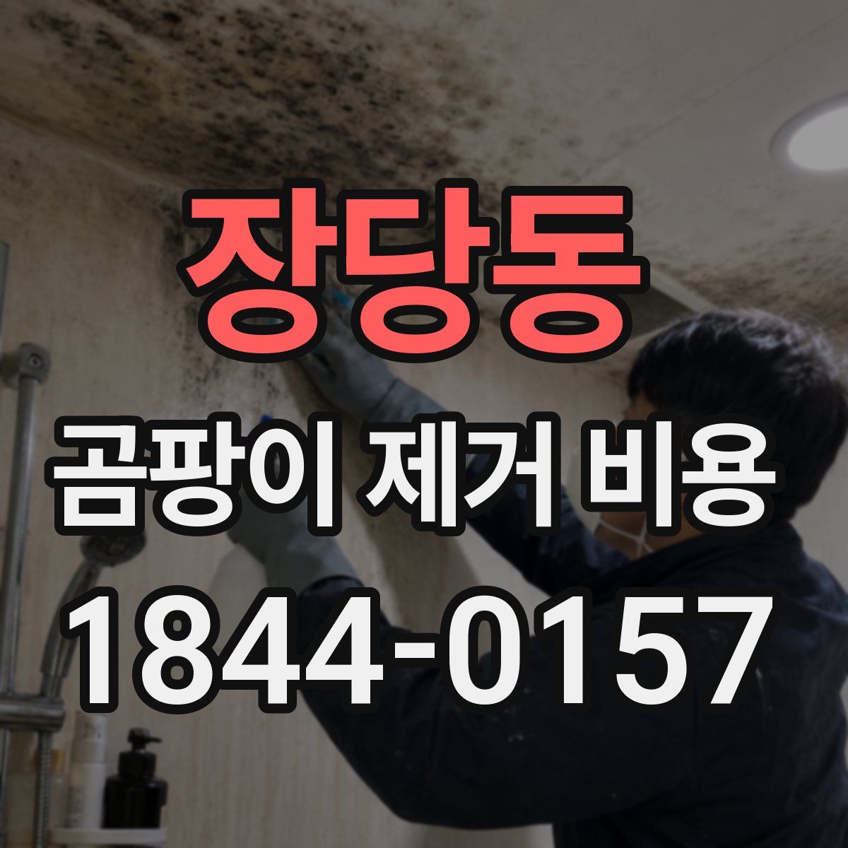 장당동 곰팡이 제거 비용