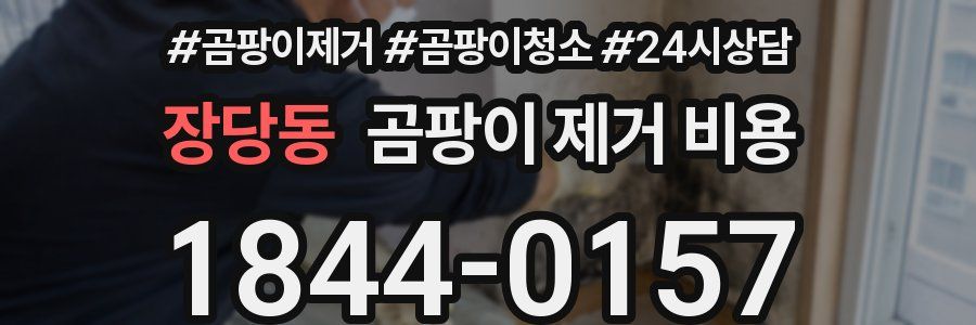 장당동 곰팡이 제거 비용