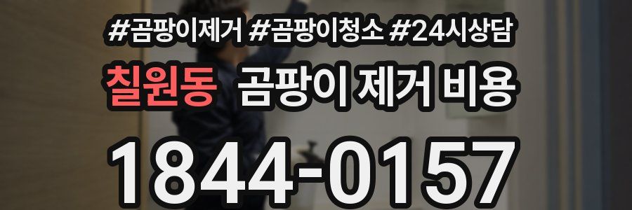 칠원동 곰팡이 제거 비용