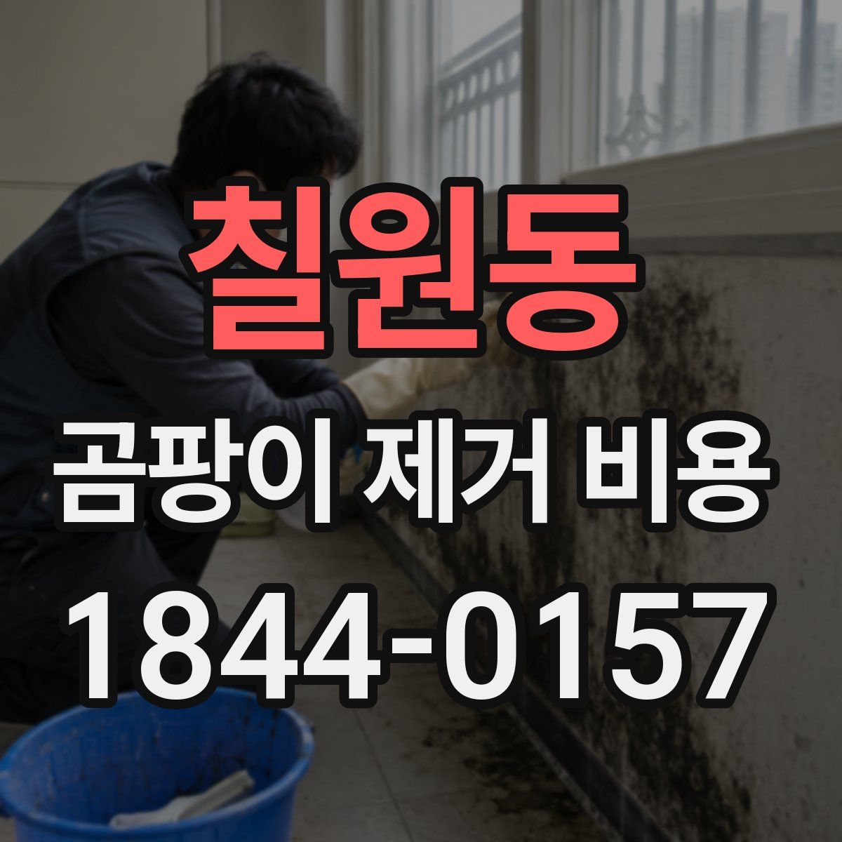 칠원동 곰팡이 제거 비용
