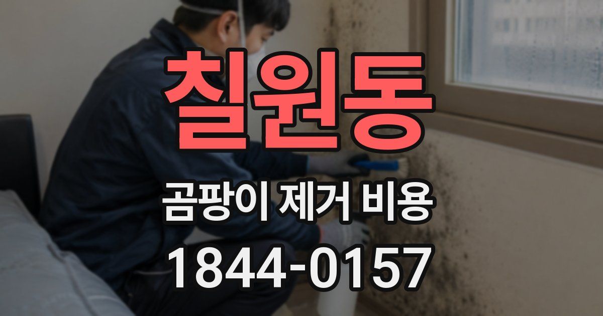 칠원동 곰팡이 제거 비용