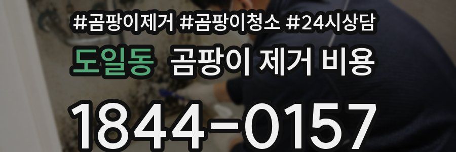 도일동 곰팡이 제거 비용