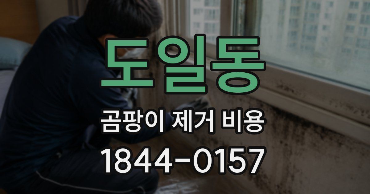 도일동 곰팡이 제거 비용