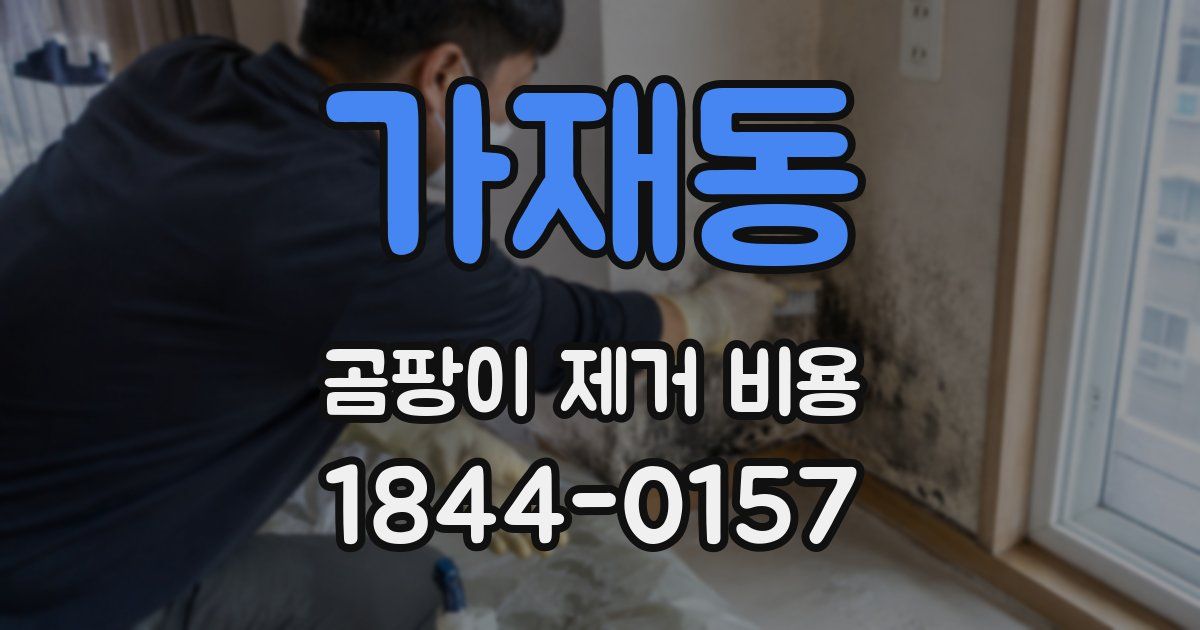 가재동 곰팡이 제거 비용